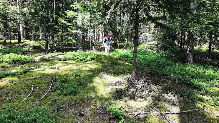 Wild French lesbians make out & eat pussy in the forest - Alt girls outdoor sex